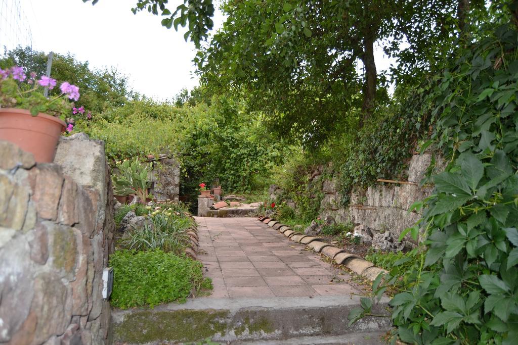 Su Cantaru Guesthouse Villanova Monteleone Luaran gambar